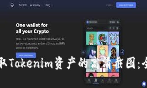 如何获取Tokenim资产的高清截图：全面指南