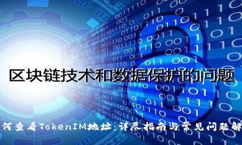 如何查看TokenIM地址：详尽指南与常见问题解答