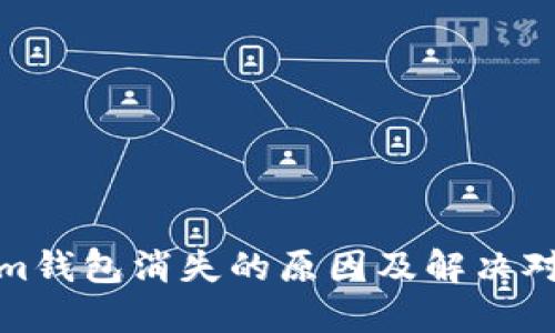 Tokenim钱包消失的原因及解决对策详解