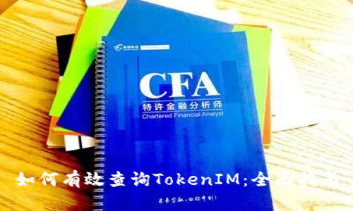 如何有效查询TokenIM：全面指南