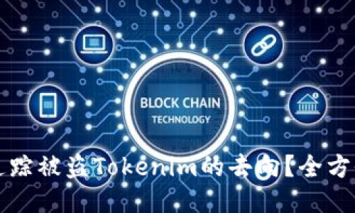 如何追踪被盗Tokenim的去向？全方位指南