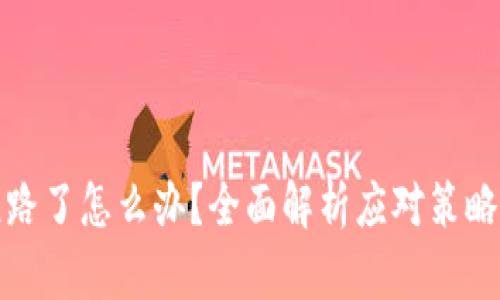 加密货币热钱包跑路了怎么办？全面解析应对策略与挽回损失的方法