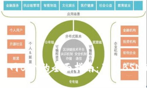 区块链查询官网BSN的全面指南：了解BSN的作用与应用