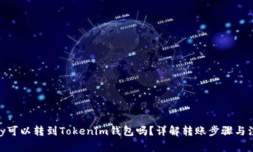 币乎Key可以转到Tokenim钱包吗？详解转账步骤与注意事项
