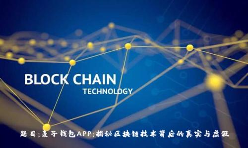 题目：麦子钱包APP：揭秘区块链技术背后的真实与虚假