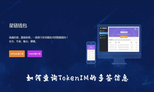 如何查询TokenIM的多签信息