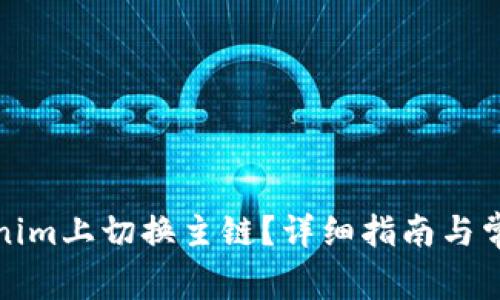 如何在Tokenim上切换主链？详细指南与常见问题解答