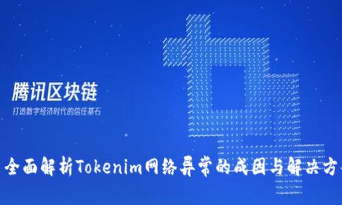 : 全面解析Tokenim网络异常的成因与解决方案