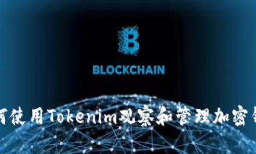 如何使用Tokenim观察和管理加密钱包