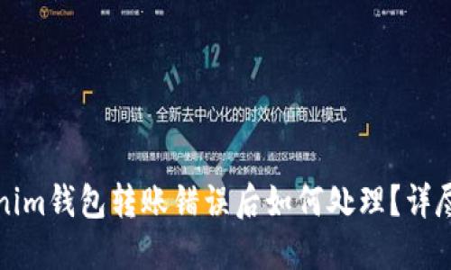 Tokenim钱包转账错误后如何处理?详尽指南