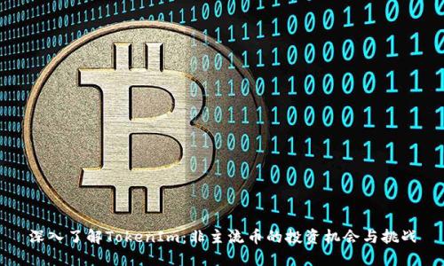 深入了解TokenIm:非主流币的投资机会与挑战