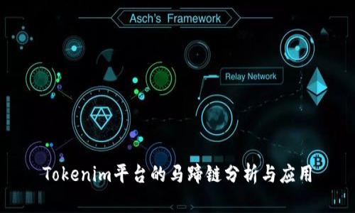 Tokenim平台的马蹄链分析与应用