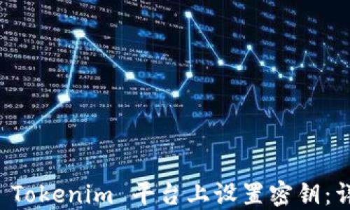 如何在 Tokenim 平台上设置密钥:详细指南