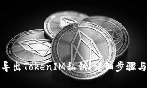 如何安全导出TokenIM私钥:详细步骤与注意事项