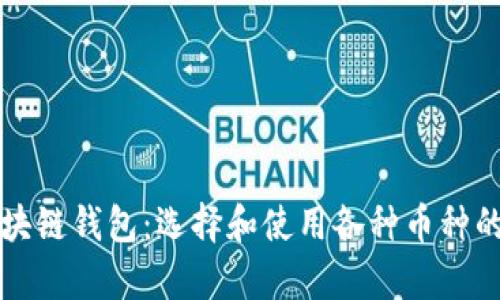 深度解析区块链钱包:选择和使用各种币种的全方位指南