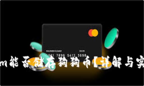 Tokenim能否储存狗狗币?详解与实用指南