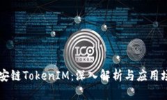 币安链TokenIM：深入解析与