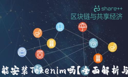 苹果手机能安装Tokenim吗?全面解析与使用指南