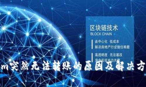 Tokenim突然无法转账的原因及解决方案详解