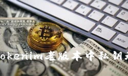 如何解决Tokenim老版本中私钥无效的问题