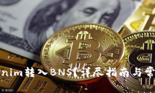 如何将Tokenim转入BNS?详尽指南与常见问题解答