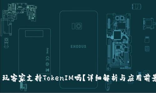 玩客家支持TokenIM吗?详细解析与应用前景