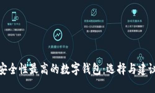 安全性最高的数字钱包:选择与建议
