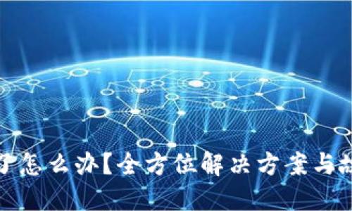 硬件钱包坏了怎么办?全方位解决方案与故障排查指南