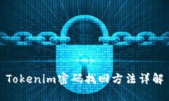 Tokenim密码找回方法详解