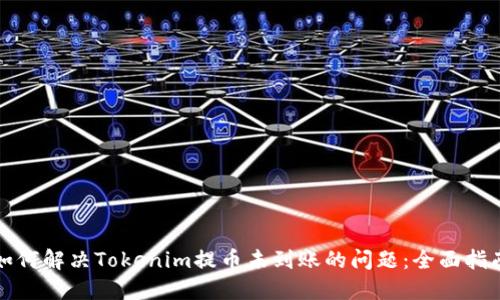 如何解决Tokenim提币未到账的问题：全面指南