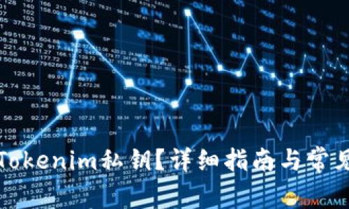 如何找回Tokenim私钥?详细指南与常见问题解答