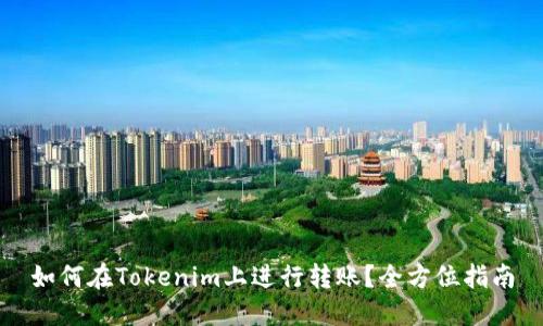 如何在Tokenim上进行转账?全方位指南