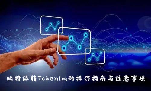 比特派转Tokenim的操作指南与注意事项
