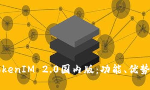 深入解析TokenIM 2.0国内版:功能、优势与使用指南