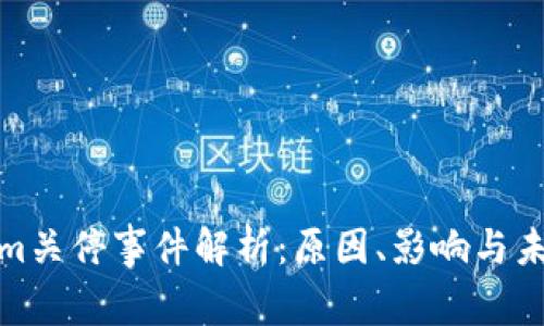 Tokenim关停事件解析:原因、影响与未来趋势