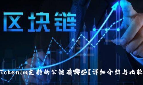 Tokenim支持的公链有哪些?详细介绍与比较