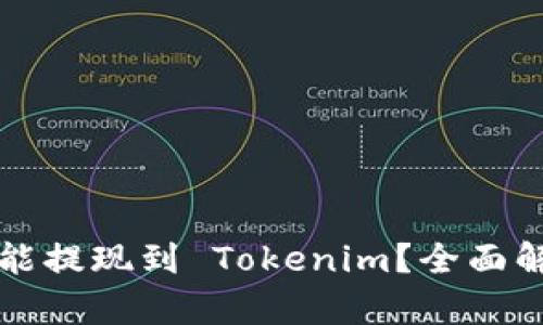 屎币如何能提现到 Tokenim？全面解析及指南