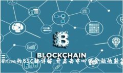 Tokenim的BSC链详解：开启去