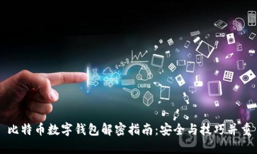 比特币数字钱包解密指南:安全与技巧并重