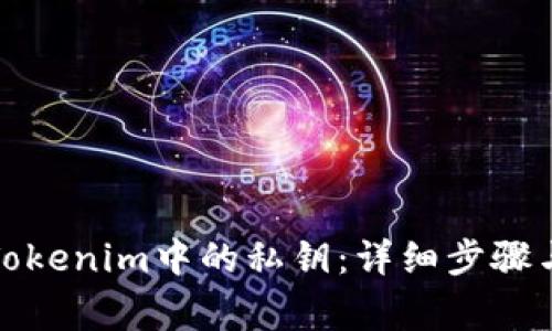 如何导出Tokenim中的私钥：详细步骤与注意事项