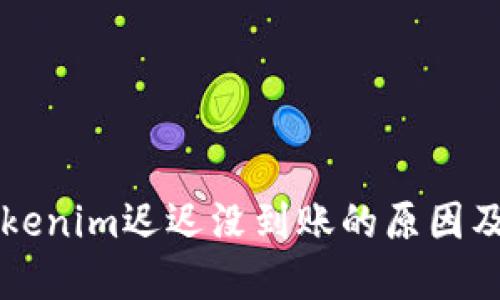 转账到Tokenim迟迟没到账的原因及解决方案
