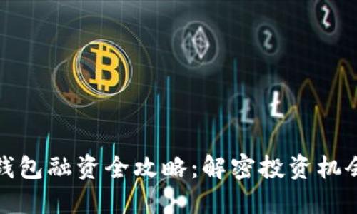 区块链钱包融资全攻略：解密投资机会与风险