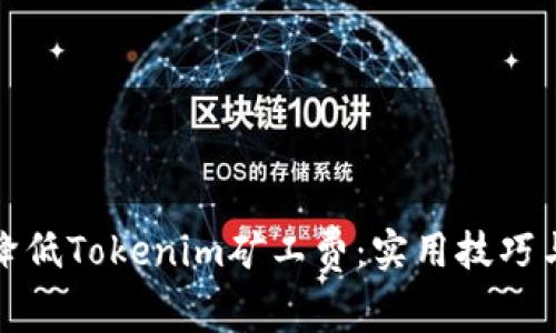 如何降低Tokenim矿工费:实用技巧与策略