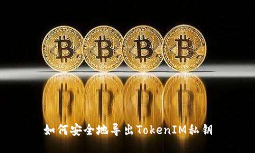 如何安全地导出TokenIM私钥