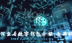 如何查看数字钱包余额：