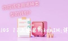 如何在iOS 11上安装TokenIM：