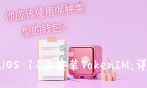 如何在iOS 11上安装TokenIM:详细指南