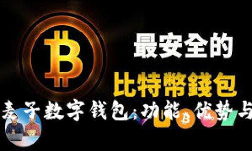 全面解析麦子数字钱包:功能、优势与未来展望