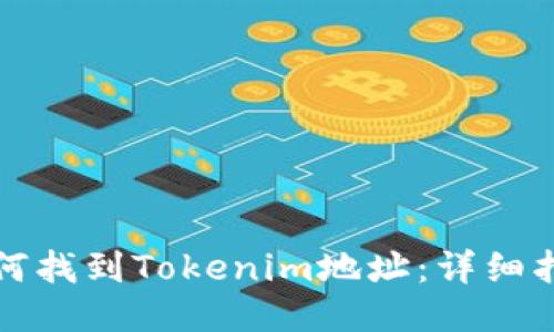如何找到Tokenim地址:详细指南