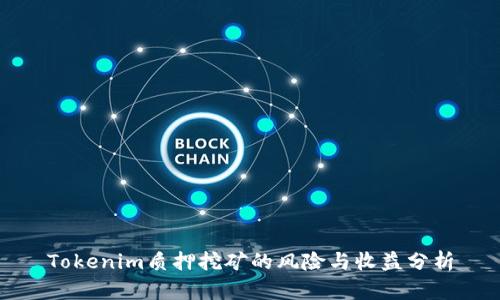Tokenim质押挖矿的风险与收益分析